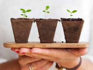 What is Seed Funding